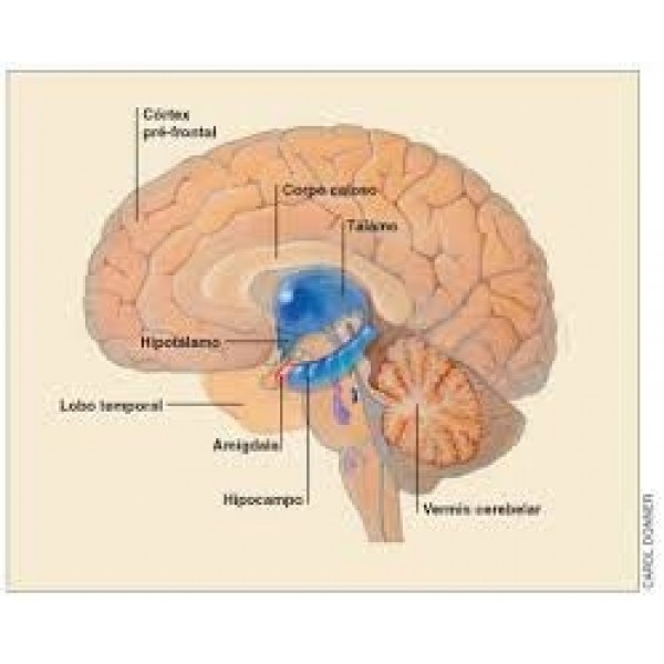 Clínica Psiquiátrica para Depressão Menores Preços no Cambuci - Como Sair da Depressão na Zona Oeste