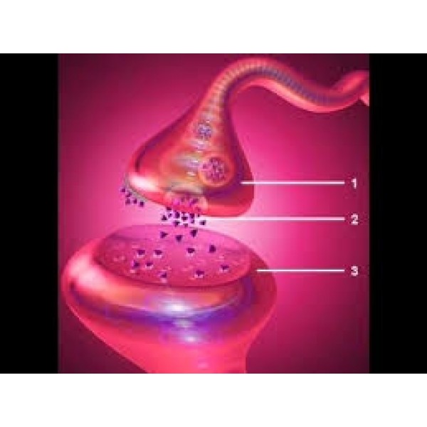 Clínicas Psiquiátricas para Depressão com Melhores Preços em Cajamar - Como Lidar com a Depressão