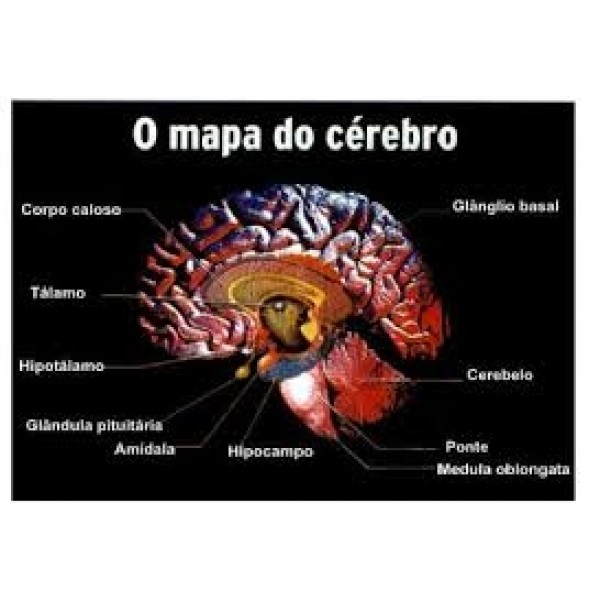 Clínicas Psiquiátricas para Depressão Preços no Brás - Como Sair da Depressão na Zona Oeste