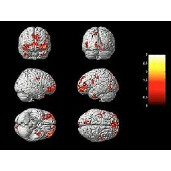 Como Se Livrar da Depressão em Água Rasa - Como Se Livrar da Depressão