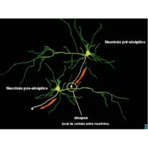 Onde Conseguir Clínicas Psiquiátricas para Depressão em Biritiba Mirim - Como Sair da Depressão em São Paulo