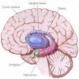 Clínicas para depressão preços baixos em Caieiras